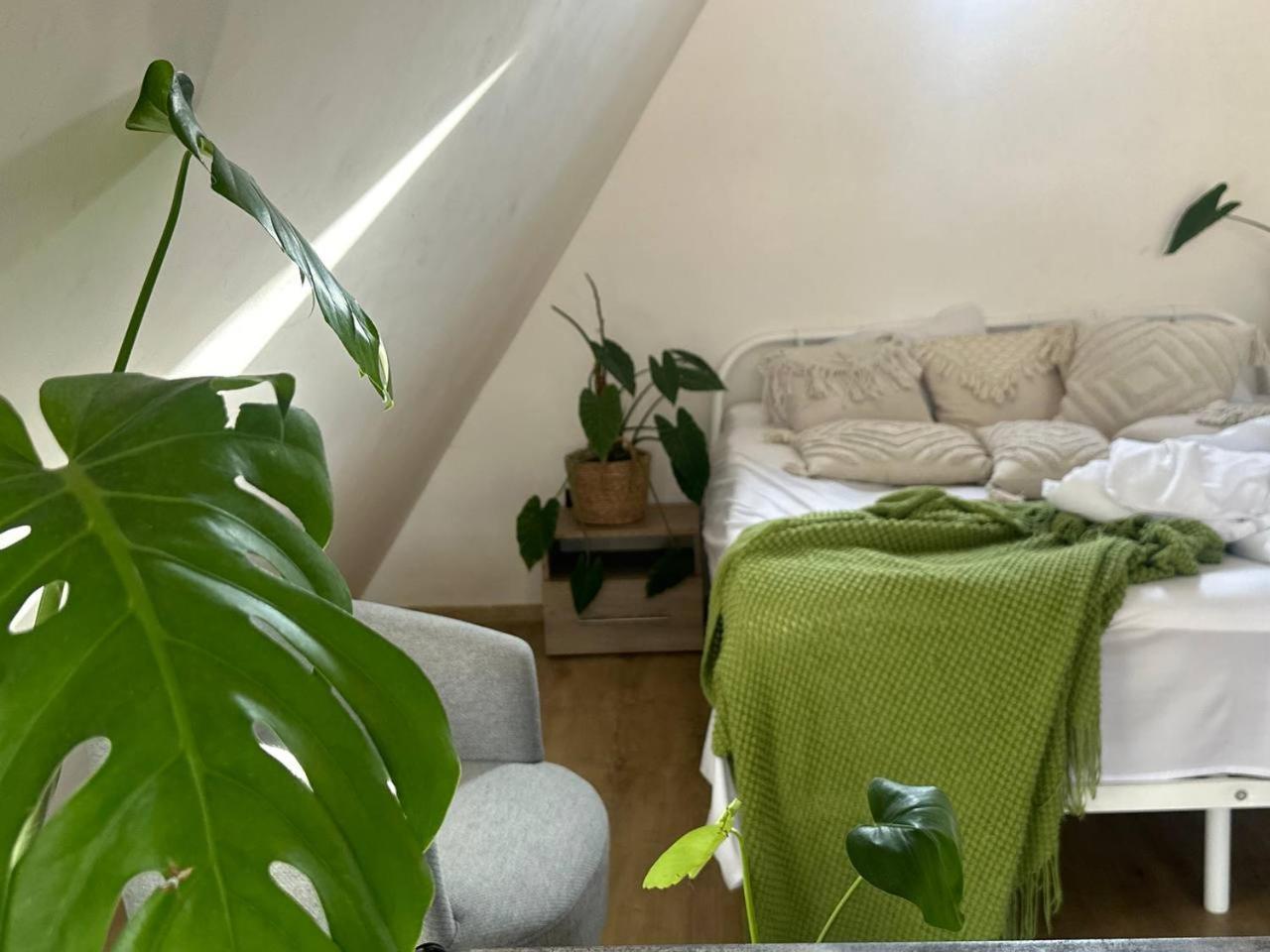 Holiday home Fiillhousedilijan